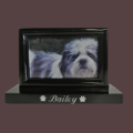 Silver Rectangle Frame for Pets